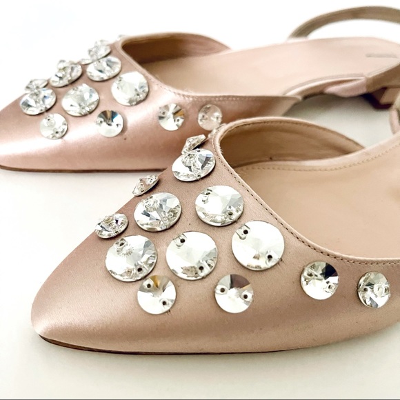 Meet your Posher, Roxy - Picture 5 of 12